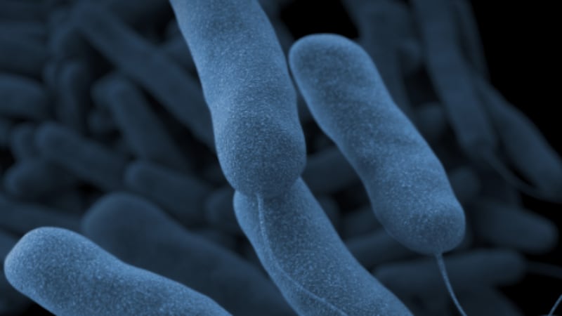 Cases of Legionnaires’ disease reported in Franklin County