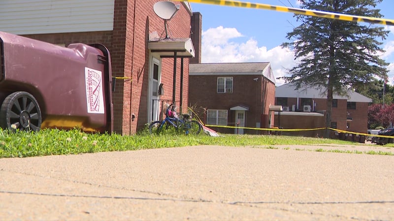 Police were called to Amy Steadman’s home in Mechanicville, New York, for a welfare check...