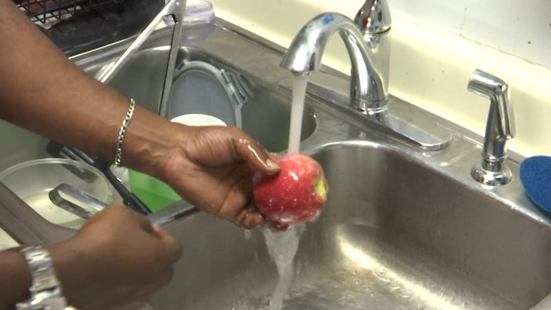 tate health officials are investigating an outbreak of cyclosporiasis, an intestinal parasite...