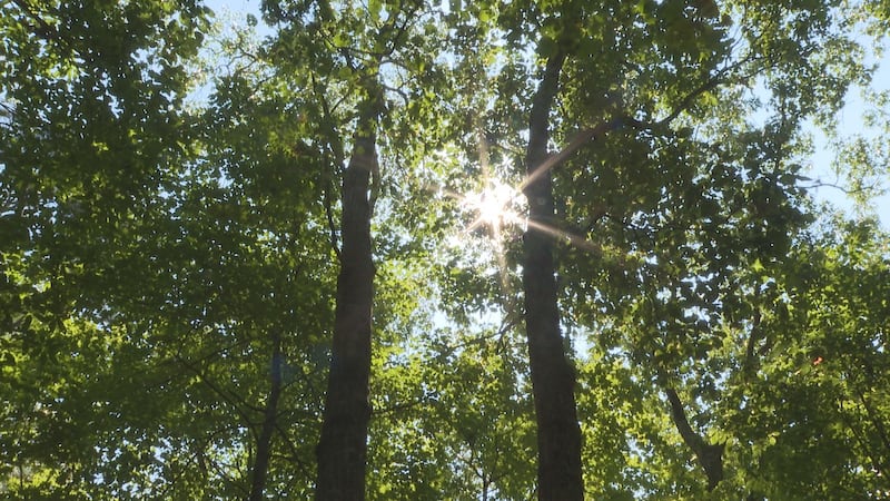 If you are going to be outside doing strenuous activity this weekend or early next week,...