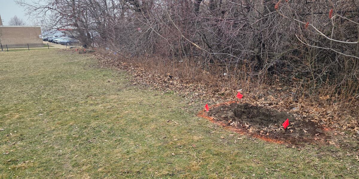 Woman arrested on murder charges after 2 girls were found buried in ...