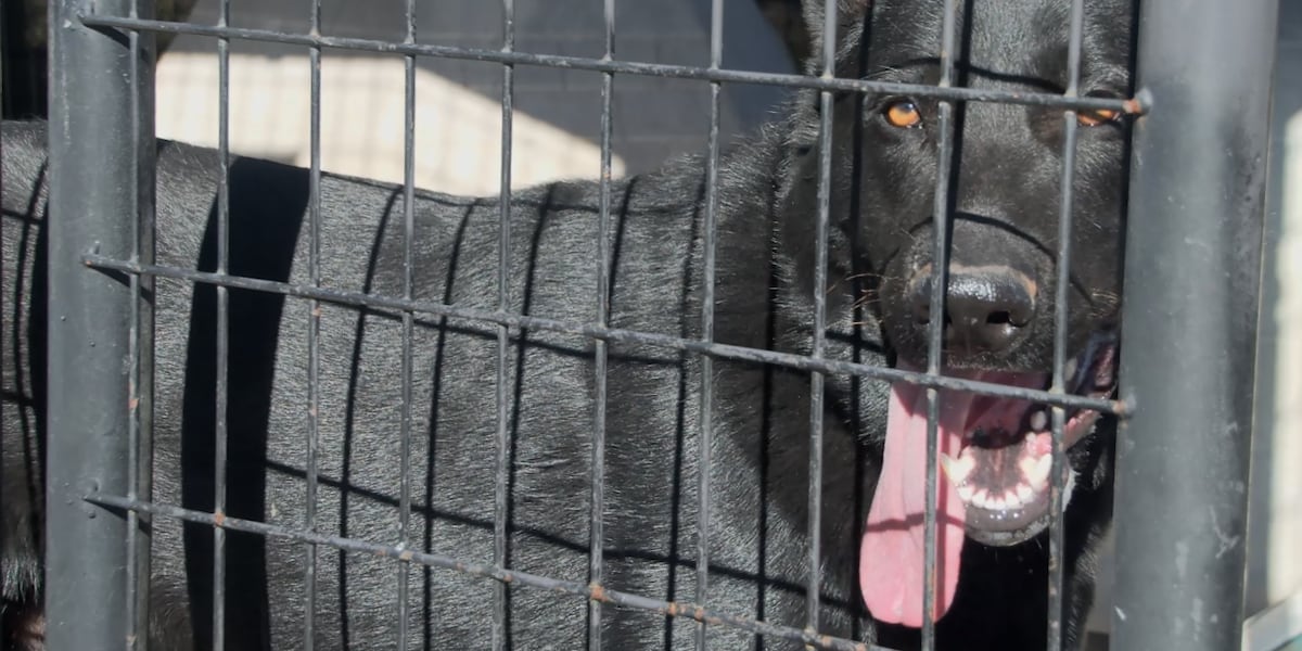 Humane Working Conditions Humane Society offers tips for outdoor working dogs in extreme temperatures