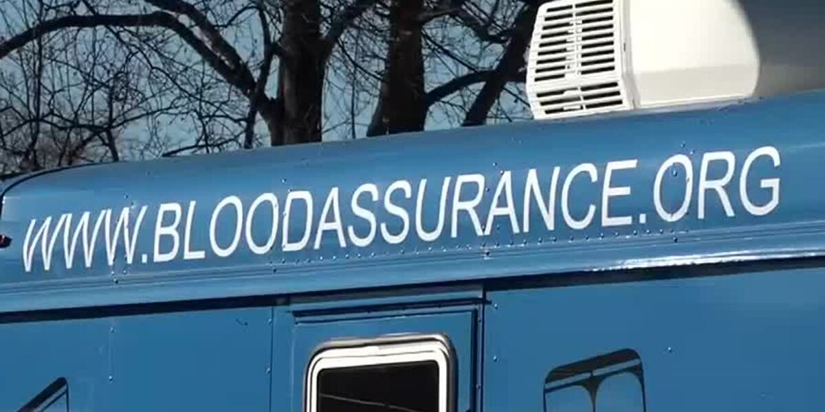 Hot Rods Blood Blood Assurance and BG Hot Rods team up for upcoming blood drive