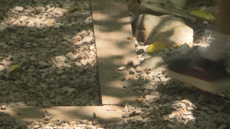 The Cave Country Trails challenge is on through October, and you could win $500 for...