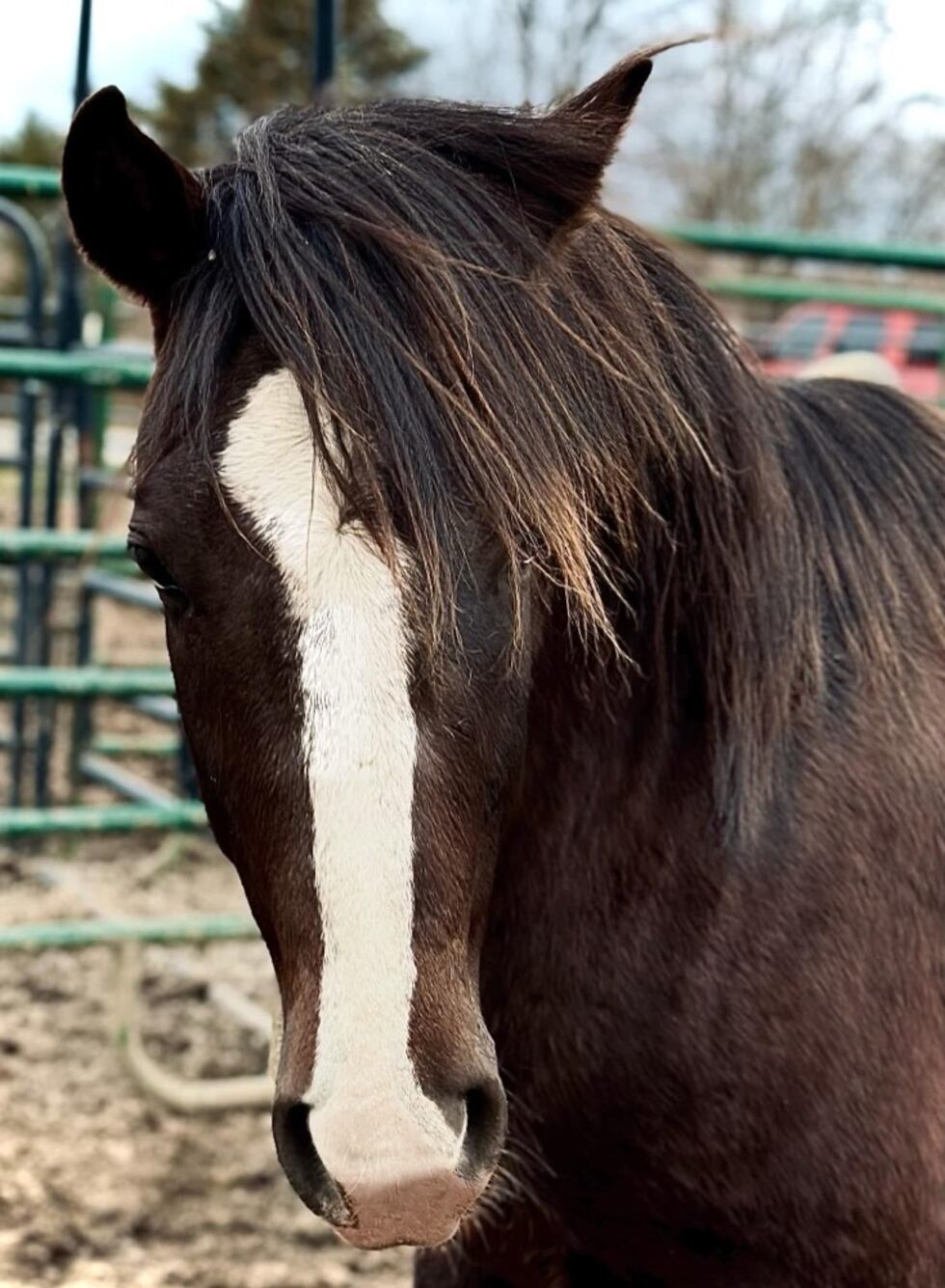 UZXI3KGEQFFPZECWKYXWLGEEJ4 KY woman wins lottery jackpot on her deceased father’s birthday weekend