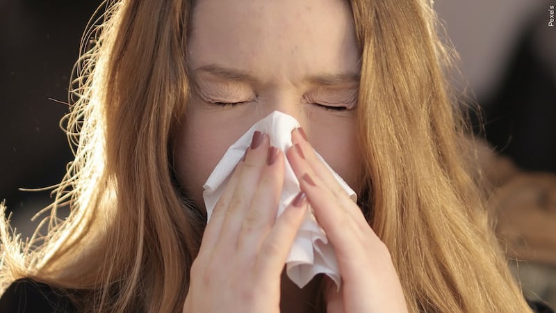 Allergies? Baptist Health provides tips for allergy season (MGN Images)