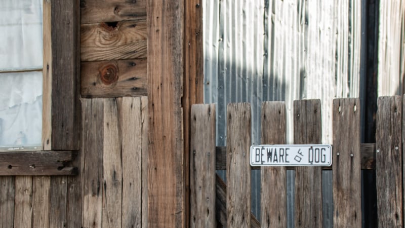 Man arrested for killing, dismembering neighbor’s dog, police say