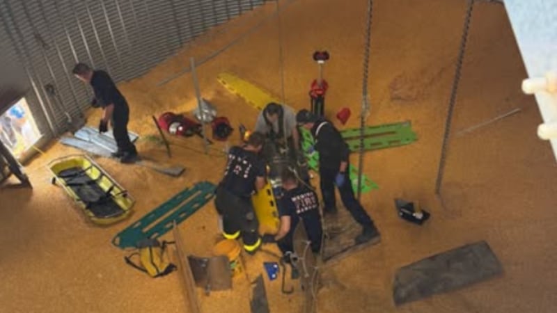 The Medina Fire Department rescued a man trapped in a grain bin Wednesday afternoon.