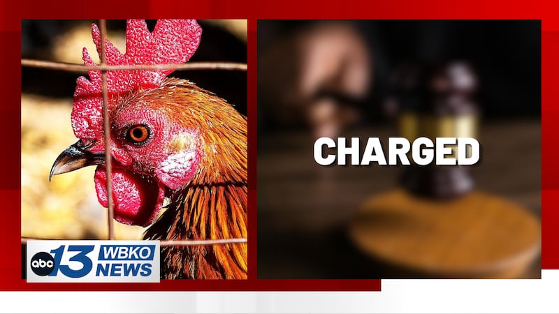 Cockfighting, charged