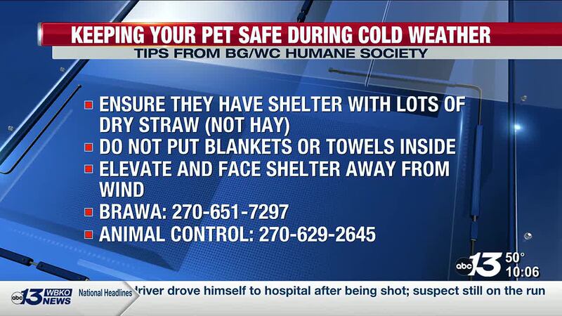The Bowling Green/Warren County Humane Society warns colder weather is a dangerous time for...